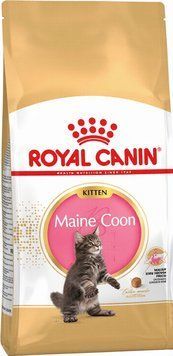 Корм сухий Royal Canin Maine Coon Kitten для кошенят породи мейн-кун hom01749 фото