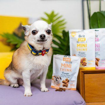 Ласощі Brit Care Mini Treats Think для підтримання мозкової активності у собак малих порід hom00355 фото
