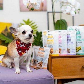 Ласощі Brit Care Mini Treats Liver Detox для підтримання здоров&rsquo;я печінки у собак малих порід hom00353 фото